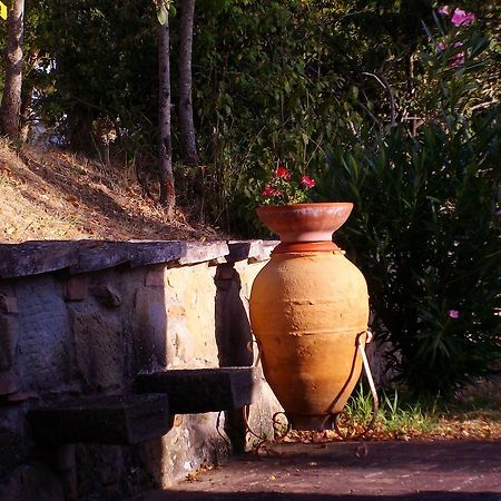 Tenuta Macetona Celle sul Rigo Kültér fotó